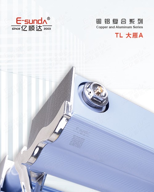 TL 大雁
